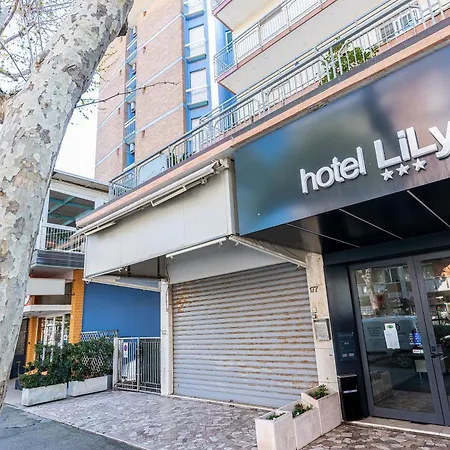 Lily Hotel