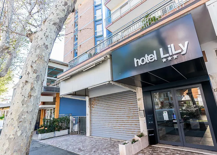 Lily Hotel