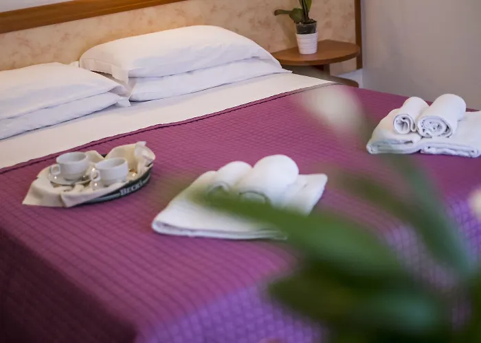 Lily Hotel